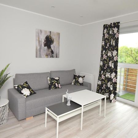 Dreamer Apartment Stary Toruń 외부 사진